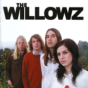 We Live On Your Street by The Willowz