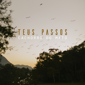 Teus Passos