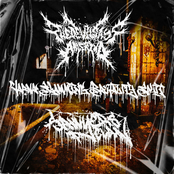 Varna Slamming Brutality Split [Explicit]