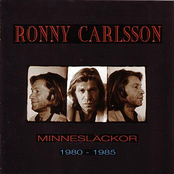 Minnesläckor 1980-1985