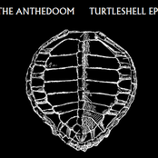 Turtleshell EP