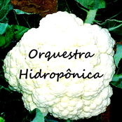 Orquestra Hidropônica