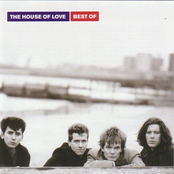 Let's Talk About You by The House Of Love