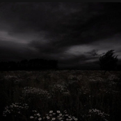 washing machine heart (slowed)