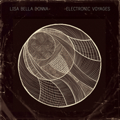 Electronic Voyages