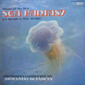 Sea Fantasy