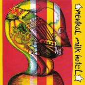 Neutral Milk Hotel: Everything Is