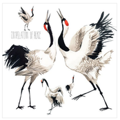 Compilation of Peace