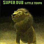 Mental Dub by Little Tempo