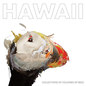 Collections of Colonies of Bees: Hawaii