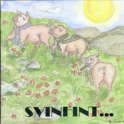 Svinfint