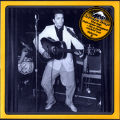 The Bop That Never Stopped vol.8