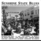 Sunshine State Blues - Florida Vol. 1