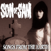 Stray by Son Of Sam