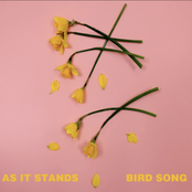 Bird Song