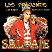 Dragones: Salvaje