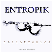 Warp by Entropik