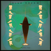 Blue Dream by Orenda Fink