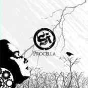 Procella