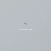 Take These Broken Wings