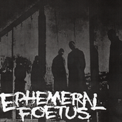 Ephemeral Foetus