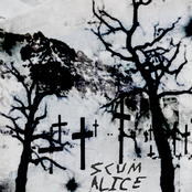 Among Graves Surrounded by Snowy Fields