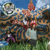 The King Is Half Undressed