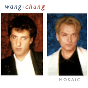 Wang Chung: Mosaic