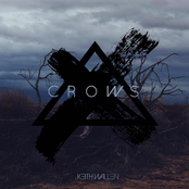 Keith Wallen: Crows