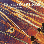 Nineveh by Only Living Witness