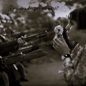 ¿Por que matar , por que morir?