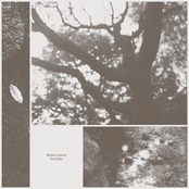 Blown Leaves