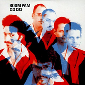 Boom Pam Album Picture