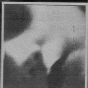 Child Abuse In Narrative Discourse