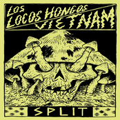 Los Locos Hongos​​/Vietnam Split