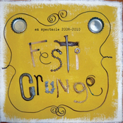 Festi-Grunge en spectacle 2008-2010