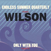 Only With You: A Tribute To Dennis Wilson