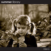 Summer Library