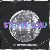 Stayin' low (DJ Hampster Dance Remix)