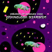 Chameleon Straship