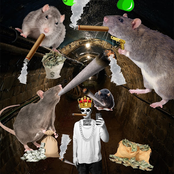 Lil Culture DOESNT like the NEWER SEWERS