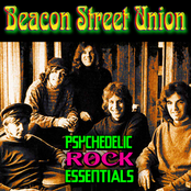 Beautiful Delilah by Beacon Street Union