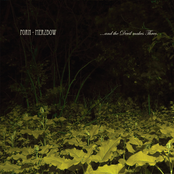 ...And The Devil Makes Three.