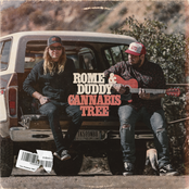 Cannabis Tree - Single