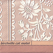 Home by Birchville Cat Motel