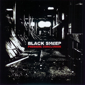 Les Rêves Sont Au Frigo by Black Sheep