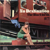 Something Different by The Blackbirds
