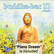 Buddha Bar XI