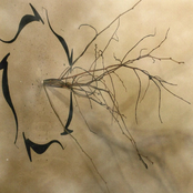 FRagrance Of Sentence