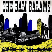 Surfin' In The Swamp